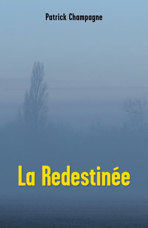 Couverture ebook de La Redestinée, de Patrick Champagne