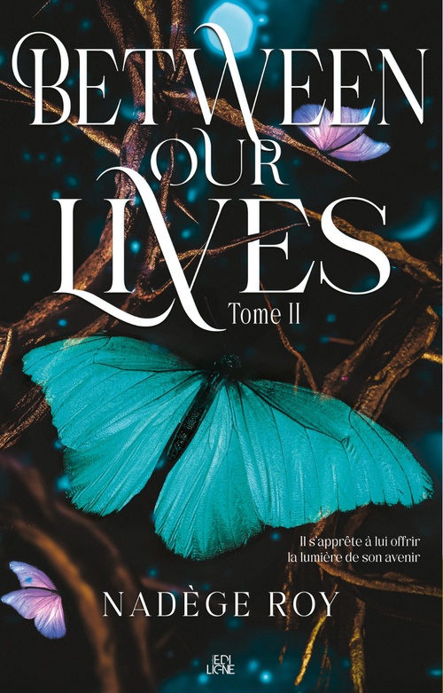 ebook cover of Between our lives T2, by Nadège Roy