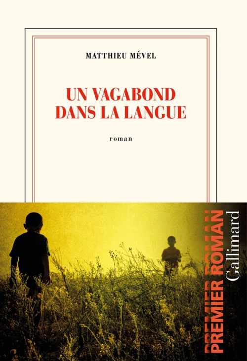ebook cover of Un vagabond dans la langue, by Matthieu Mével