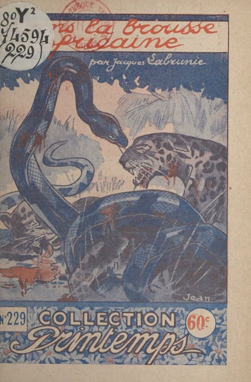 Couverture ebook de Dans la brousse africaine, de Jacques Labrunie