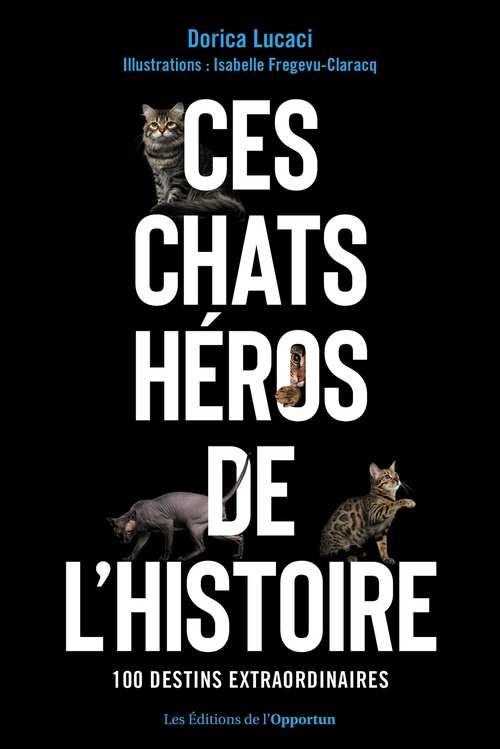 ebook cover of Ces chats héros de l'histoire, by Dorica Lucaci
