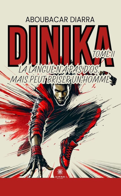 ebook cover of Dinika - Tome 2, by Aboubacar Diarra