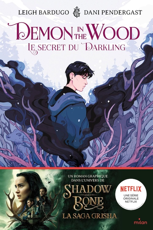 ebook cover of Demon in the wood, by Leigh Bardugo
