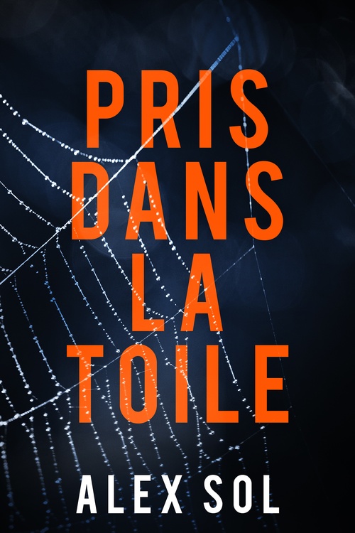 Couverture ebook de Pris dans la toile, de Alex Sol