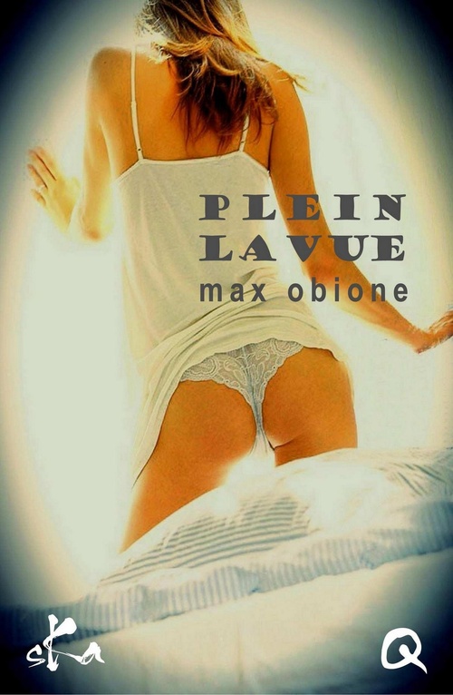 ebook cover of Plein la vue, by Max Obione