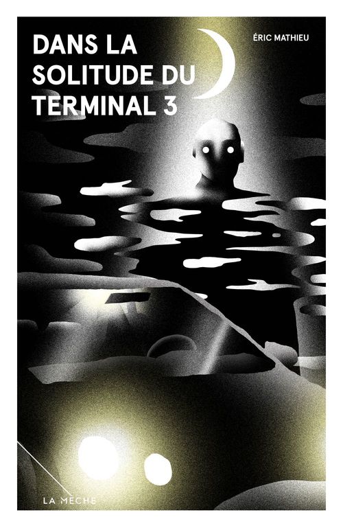Couverture ebook de Dans la solitude du Terminal 3, de Eric Mathieu