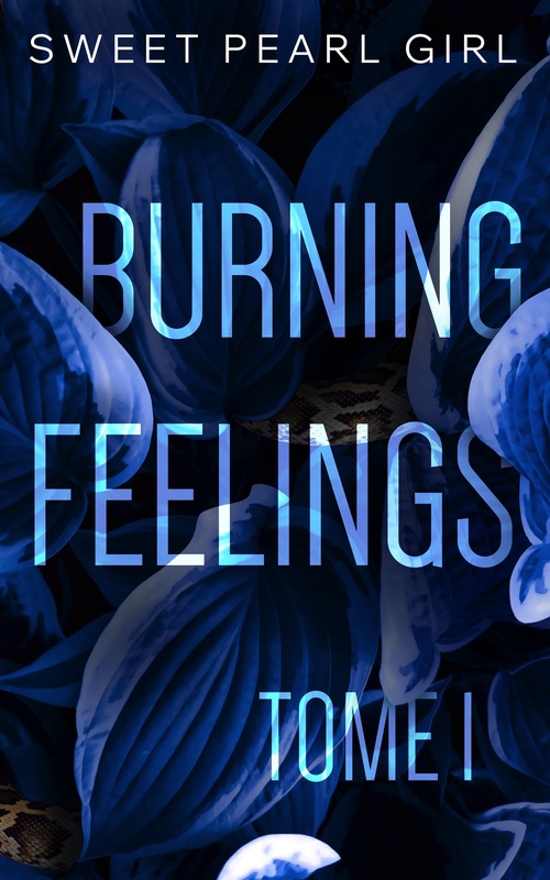 ebook cover of Burning Feelings, by Sweet Pearl Girl