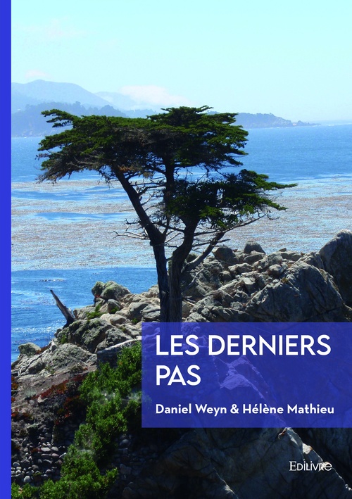 Couverture ebook de Les Derniers Pas, de Hélène Mathieu, Daniel Weyn