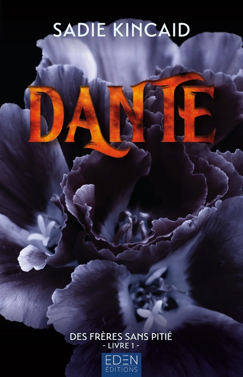 Couverture ebook de Les frères sans pitié T1, de Sadie Kincaid