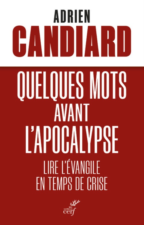 ebook cover of QUELQUES MOTS AVANT L'APOCALYPSE - LIRE L'EVANGILE EN TEMPS DE CRISE, by Adrien Candiard