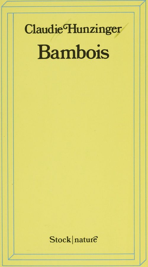 ebook cover of Bambois, by Claudie Hunzinger