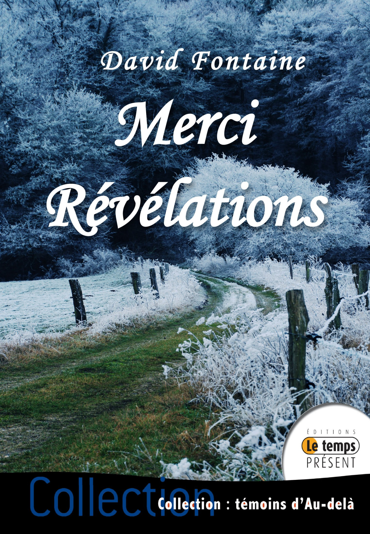 Couverture ebook de Merci - Tome 3, de David Fontaine