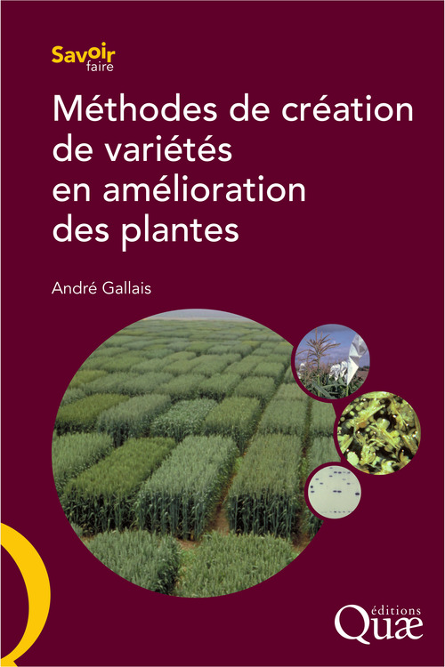 ebook cover of Méthodes de création de variétés en amélioration des plantes, by André Gallais
