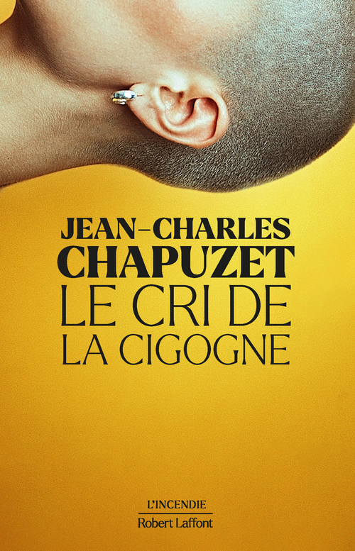 Couverture ebook de Le Cri de la cigogne, de Jean-Charles Chapuzet