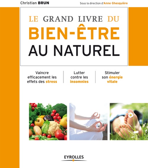 ebook cover of Le grand livre du bien-être au naturel, by Christian Brun