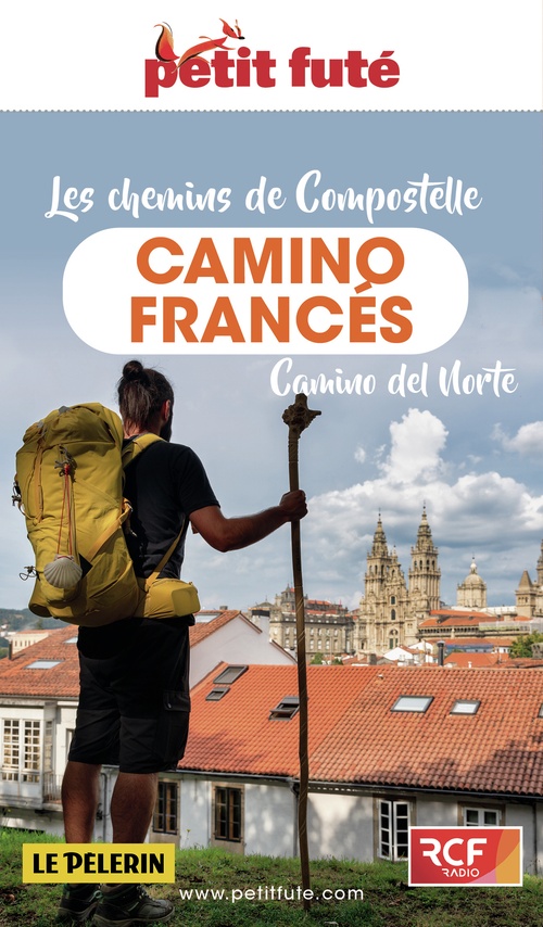 ebook cover of CHEMINS COMPOSTELLE - CAMINO FRANCES 2023/2024 Petit Futé, by Collectif petit futé