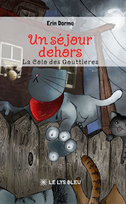 Couverture ebook de Un séjour dehors, de Erin Dorme