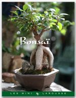 Couverture ebook de Bonsaï, de Collectif