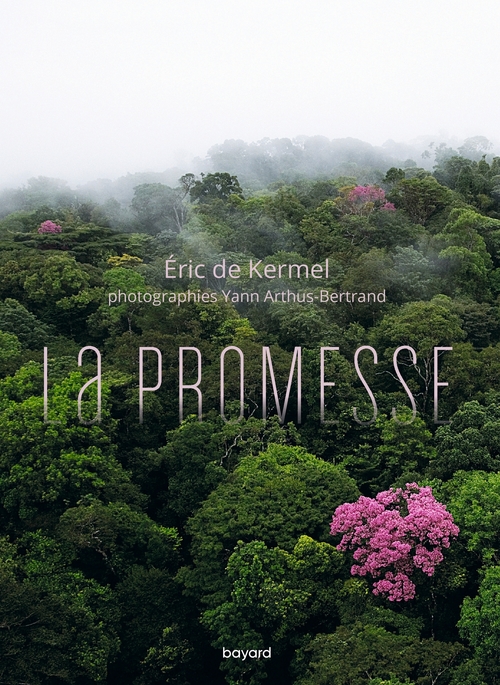 Couverture ebook de La promesse, de Eric De Kermel
