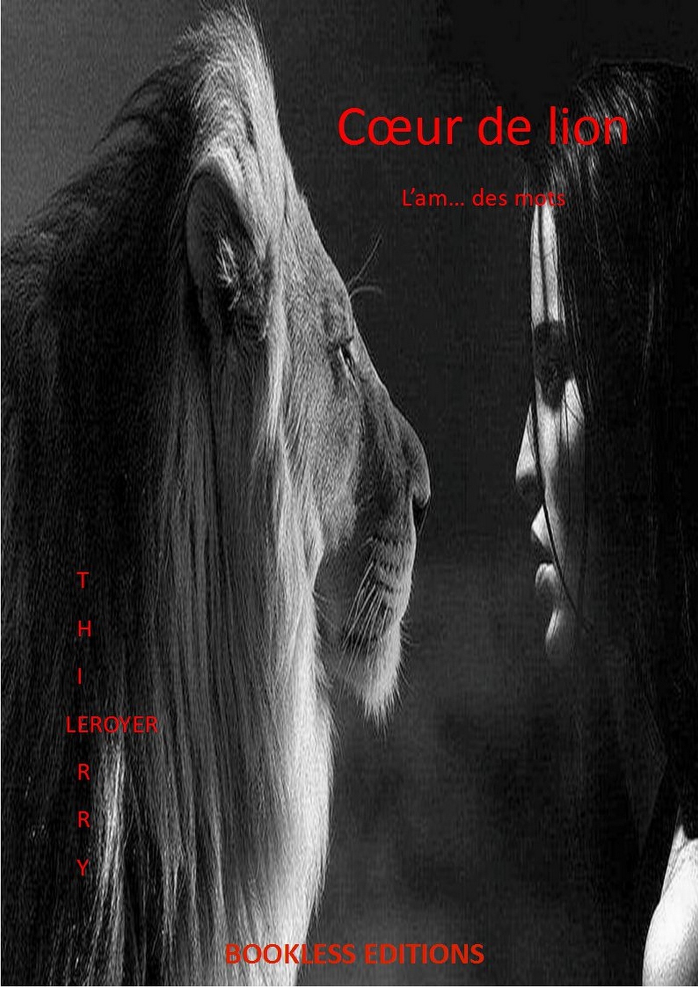 ebook cover of L'Am... des Mots, by Bookless-Editions Thierry Leroyer