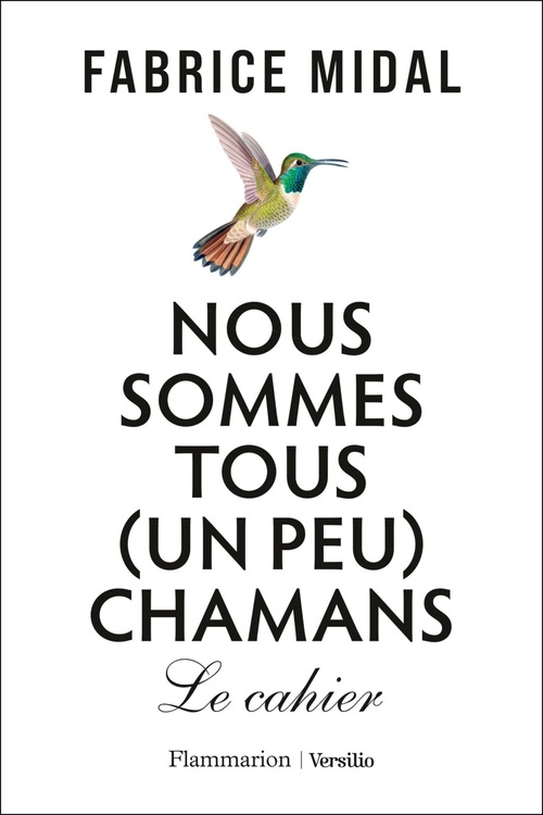 Couverture ebook de Nous sommes tous (un peu) chamans - Le cahier, de Fabrice Midal