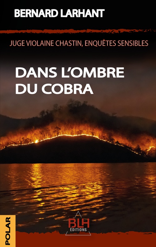 Couverture ebook de Dans l'ombre du Cobra, de Bernard Larhant