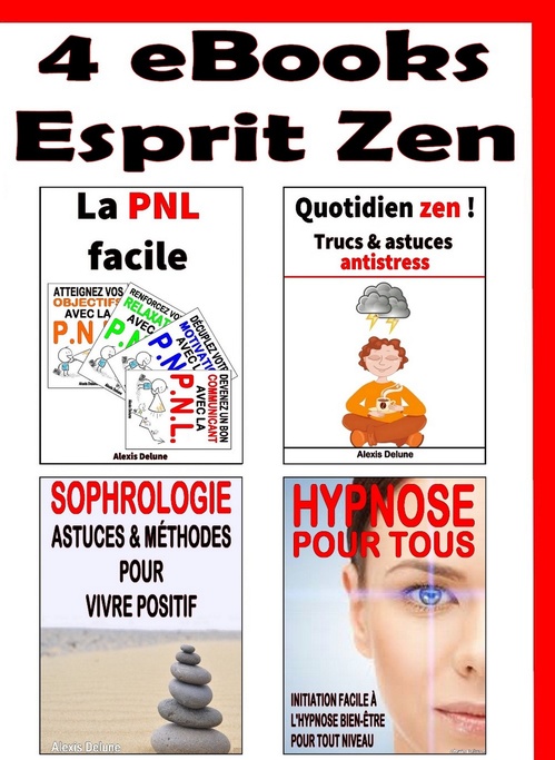 ebook cover of 4 guides Esprit Zen, by Alexis Delune