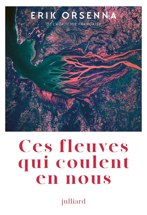 ebook cover of Ces fleuves qui coulent en nous, by Erik Orsenna