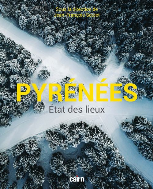 ebook cover of Pyrénées - État des lieux, by Jean-François Soulet