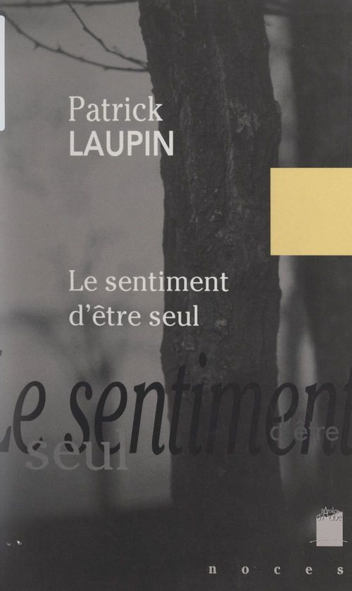 Couverture ebook de Le sentiment d'être seul, de Patrick Laupin