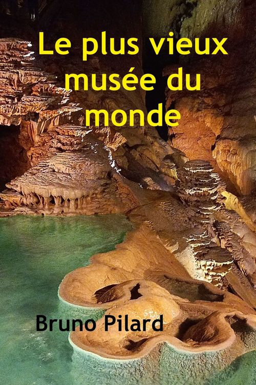 ebook cover of Le Plus Vieux musée du monde, by Bruno Pilard