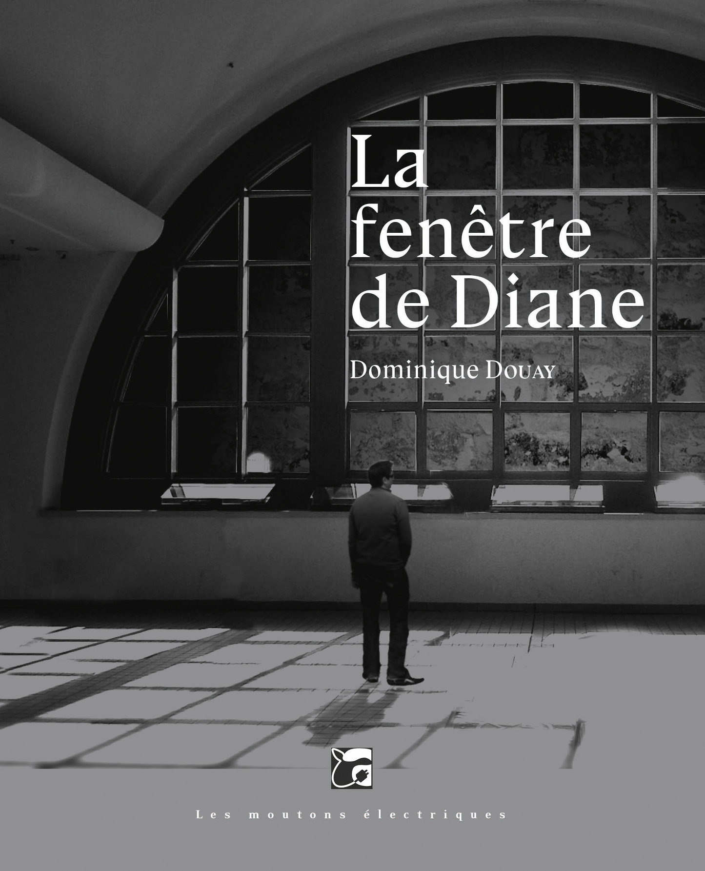 Couverture ebook de La fenêtre de Diane, de Dominique Douay