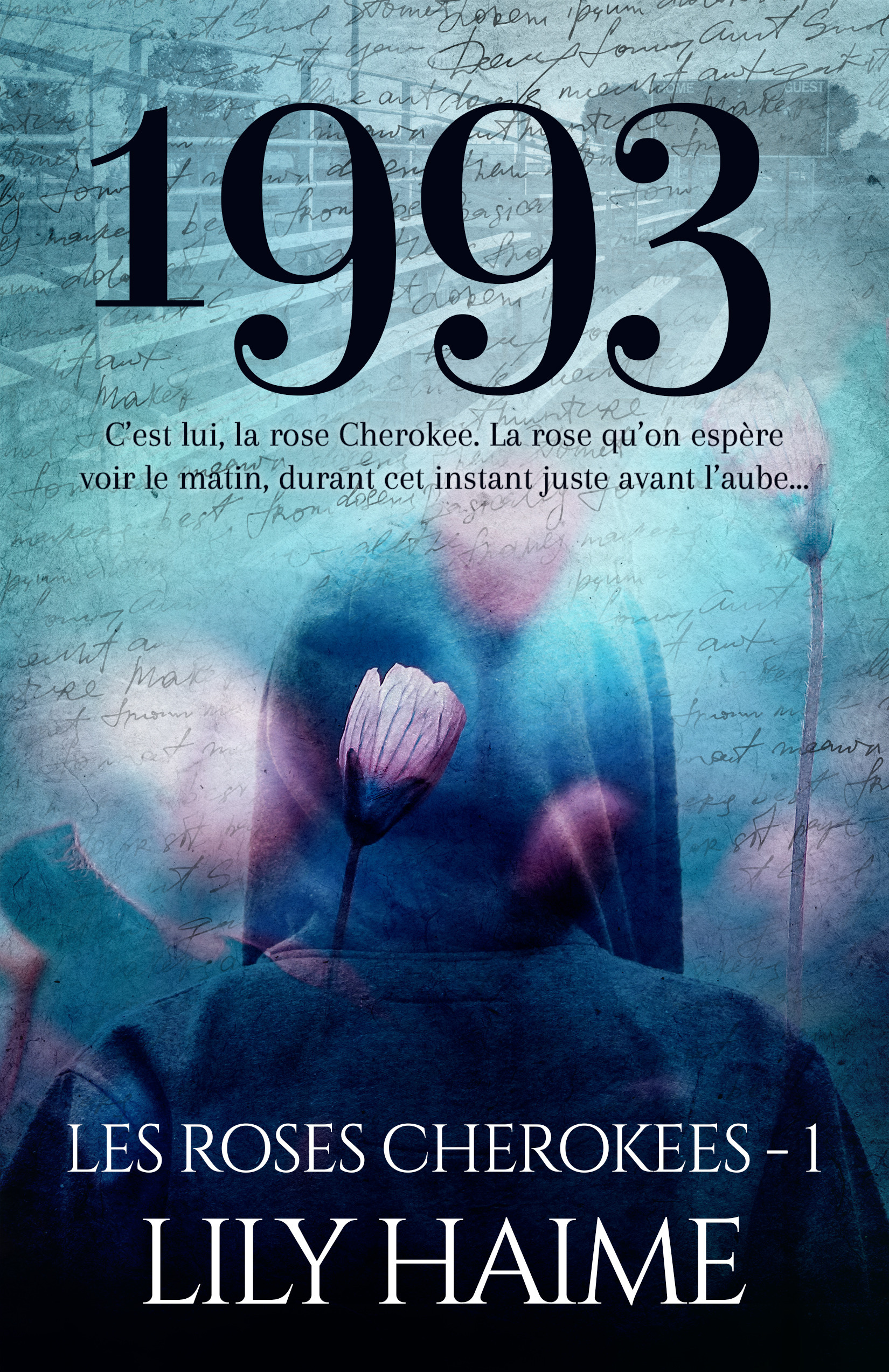 ebook cover of 1993, by Lily Haime