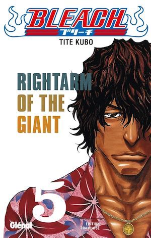 ebook cover of Bleach - Tome 05, by Tite Kubo