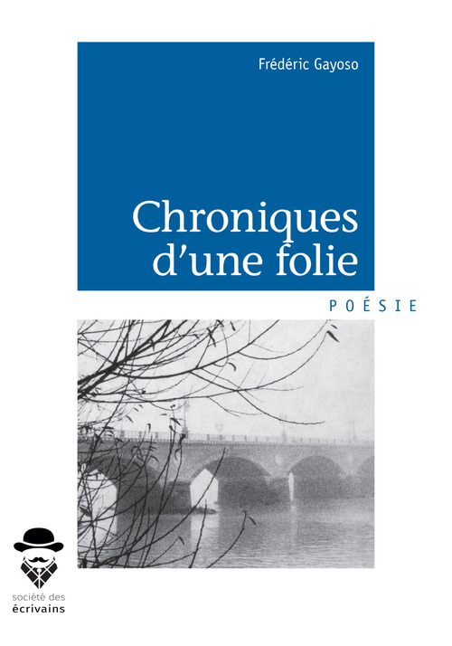 Couverture ebook de Chroniques d'une folie, de Frédéric Gayoso