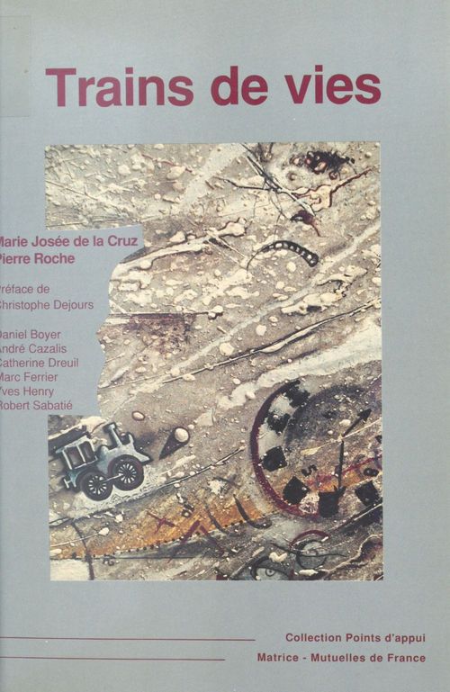 ebook cover of Trains de vies : reflexion autour des systèmes de mobilisation affective chez les agents de conduite de la SNCF, by