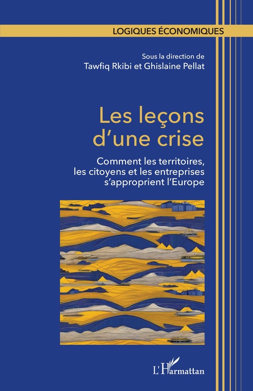 ebook cover of Les leçons d´une crise, by