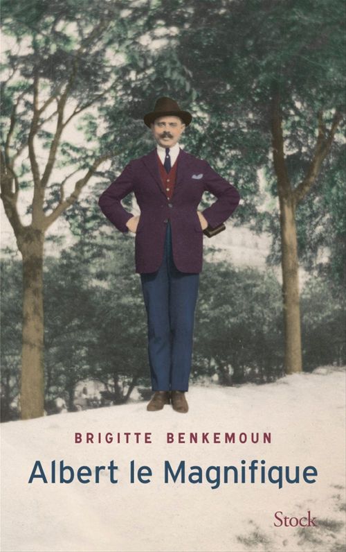 ebook cover of Albert le Magnifique, by Brigitte Benkemoun