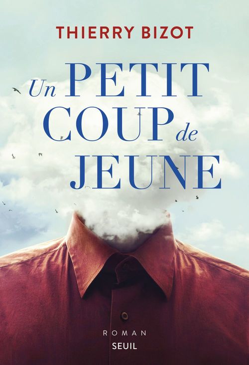 ebook cover of Un petit coup de jeune, by Thierry Bizot