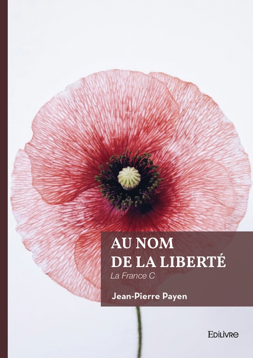 ebook cover of Au nom de la liberté, by Jean-pierre Payen