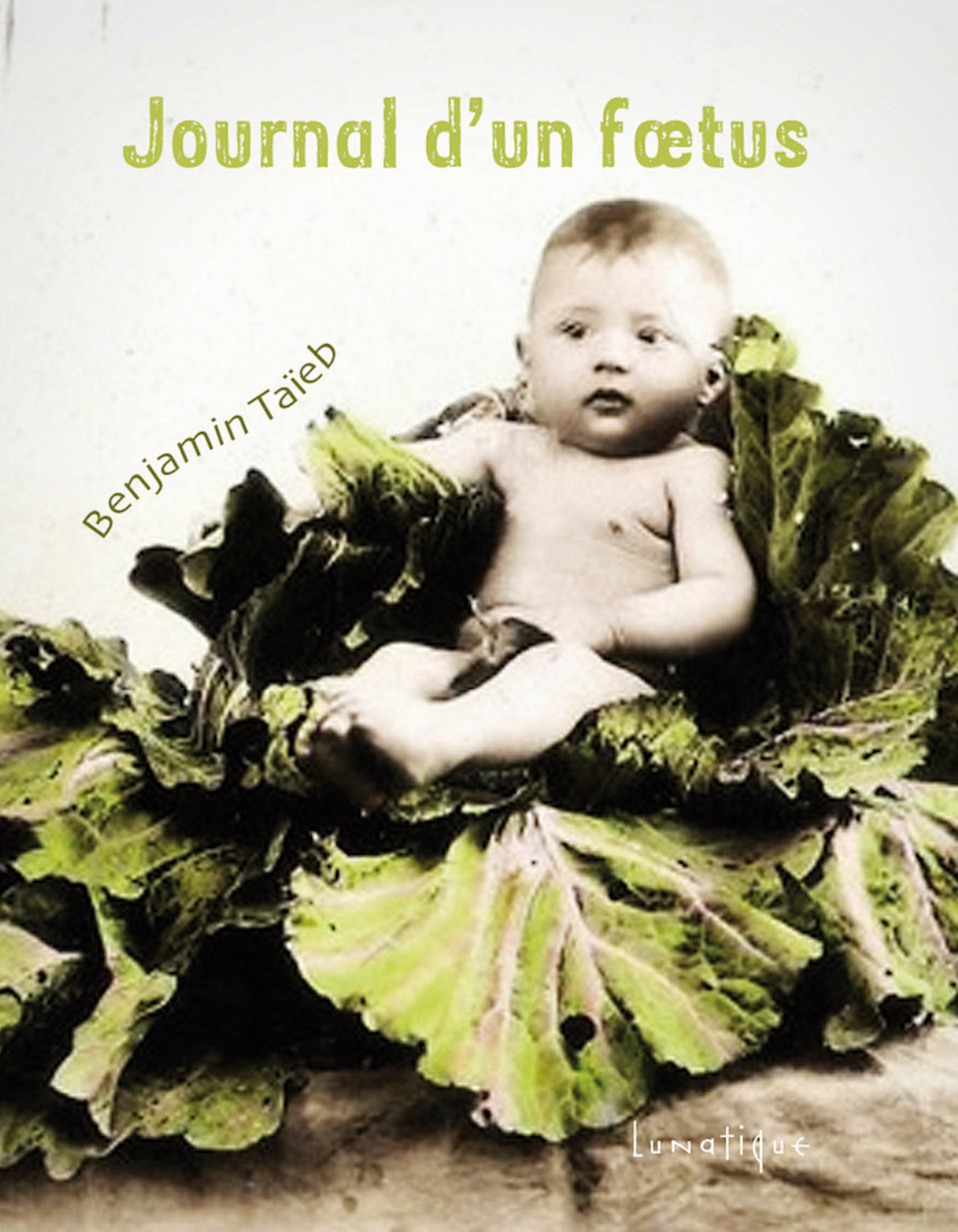 ebook cover of Journal d´un foetus, by Benjamin Taïeb