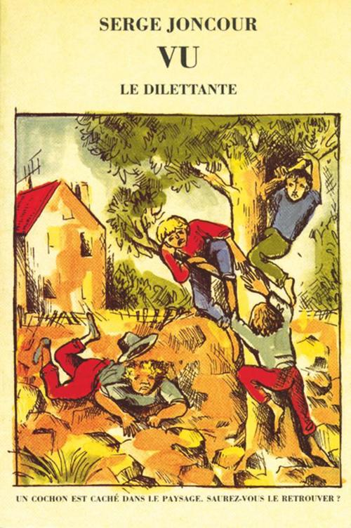 ebook cover of Vu, by Serge Joncour