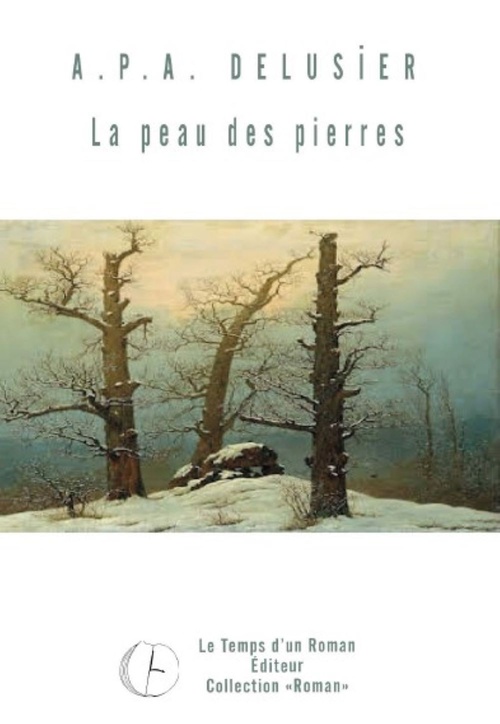 Couverture ebook de La peau des pierres, de A.P.A Delusier