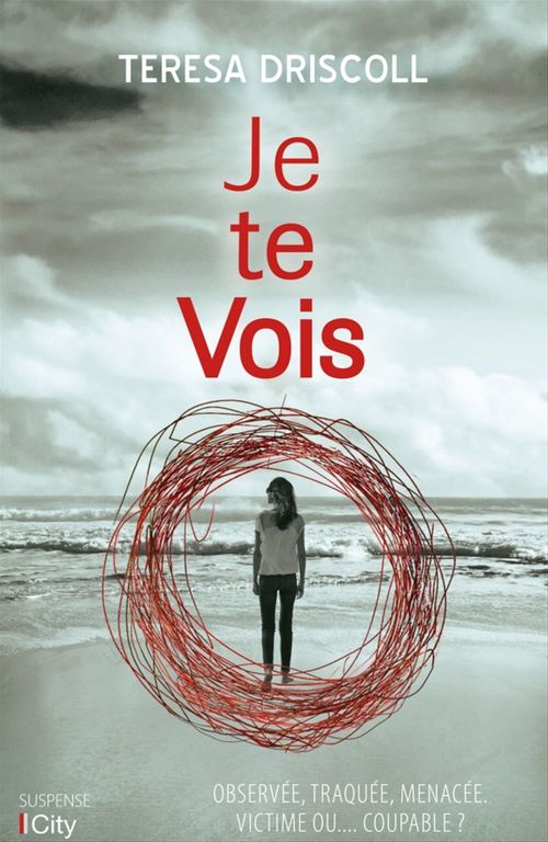ebook cover of Je te vois, by Teresa Driscoll