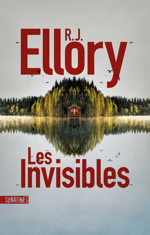 ebook cover of Les Invisibles, by R.J. Ellory
