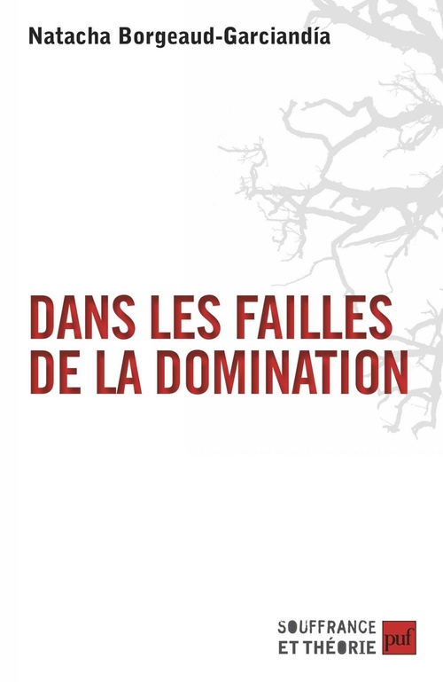Couverture ebook de Dans les failles de la domination, de Natacha Borgeaud-garcianda