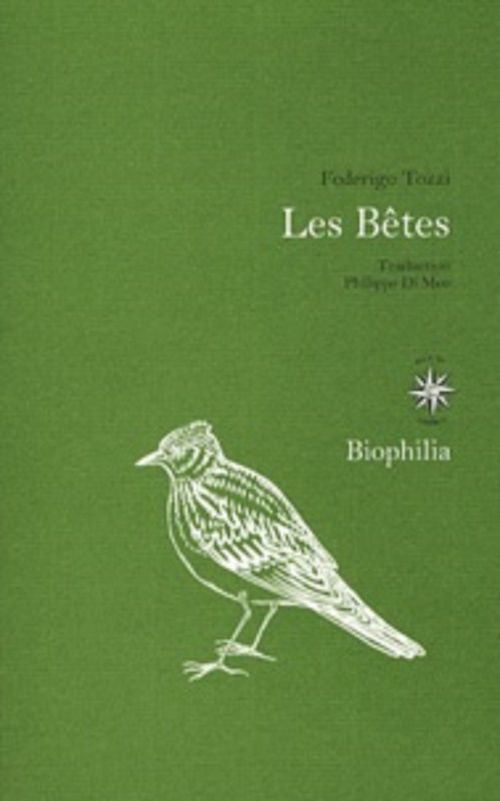 Couverture ebook de Les bêtes, de Federigo Tozzi
