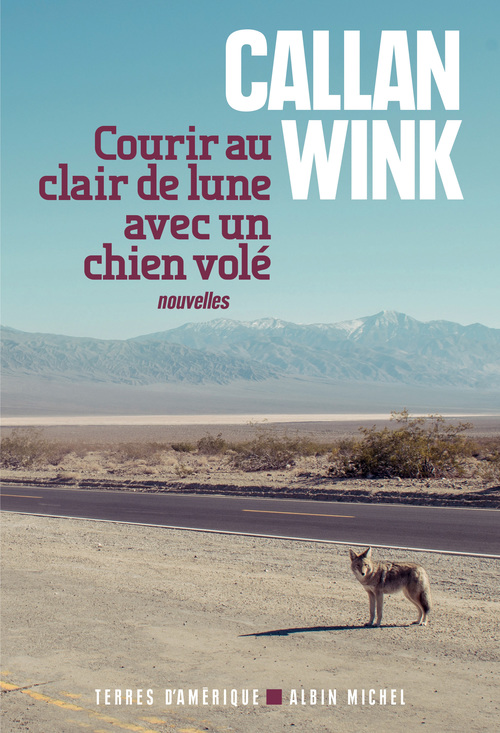 ebook cover of Courir au clair de lune avec un chien volé, by Callan Wink