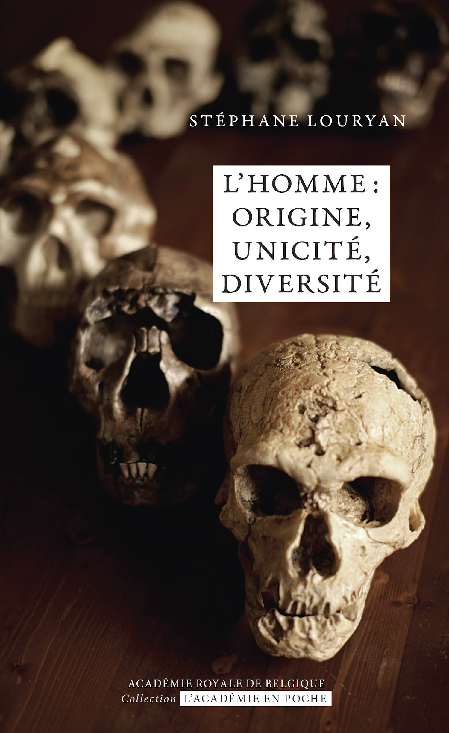ebook cover of L´homme : origine, unicité, diversité, by Stéphane Louryan