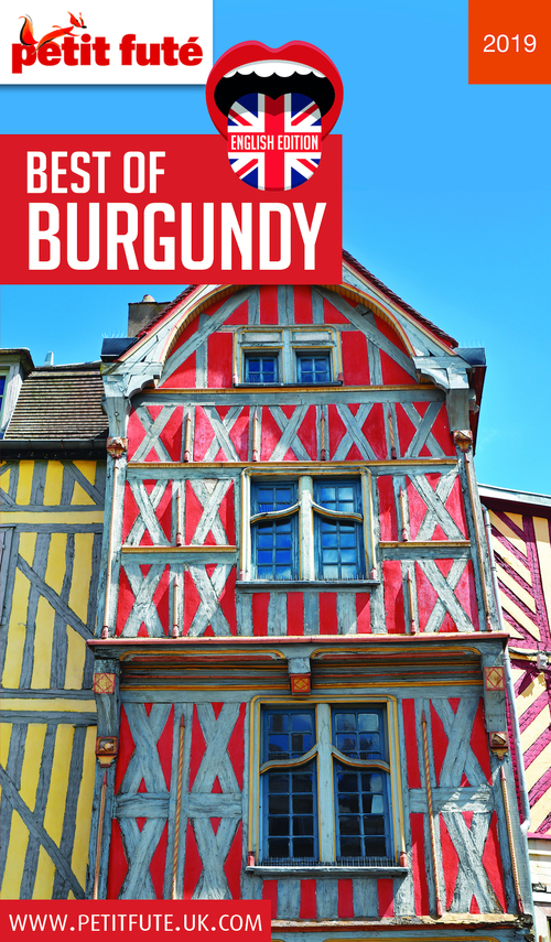 ebook cover of BEST OF BURGUNDY 2019 Petit Futé, by Collectif petit futé